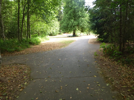 Wide paved trail has unmarked junctions leading to loops or features